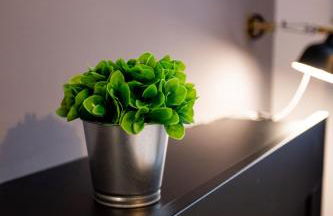 Apartamentos Doña Concha - Foto 27