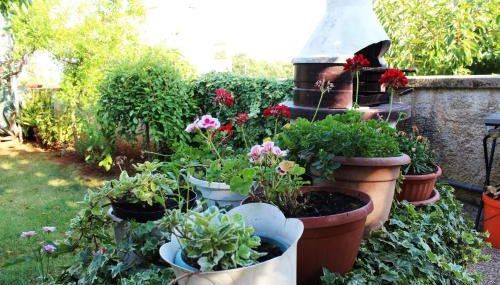 Apartments Cavae Romanae - Foto 3, Garden