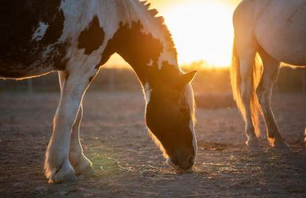 'Spanish Sunset' Vacation Apartment - Foto 43