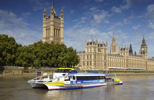 Amazing Riverside Boheme Home in SW London! - Foto 38