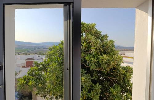 Apartamento en Cádiz - Foto 14