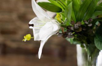 Casa Rural Lar de Sanxes - Foto 21