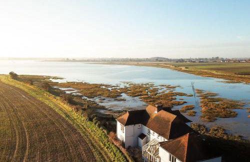 Snow Goose - Foto 21