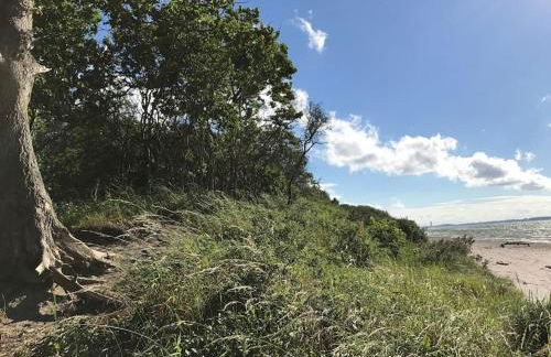 Reetdachhaus Seasons mit Kamin & Sauna - Foto 20