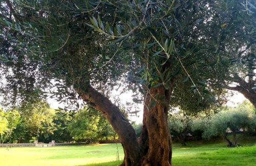 Dimitriou Rooms - Foto 25