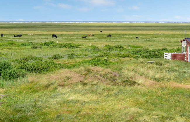"Mortensen" - 350m from the sea - Photo 38