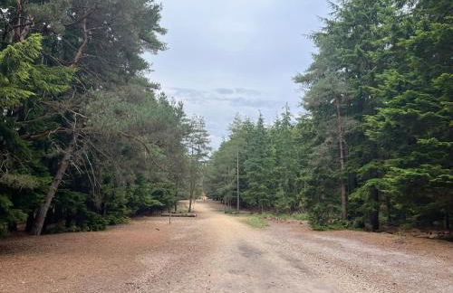 Tree Top House - Foto 56