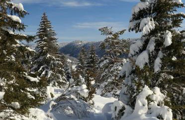 Au Coeur de Prémanon - Foto 31