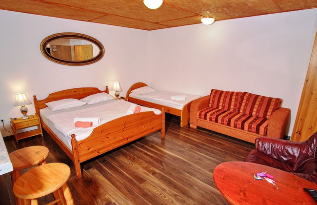 Apart & Wellness Hotel VILLA IVICA - Foto 36