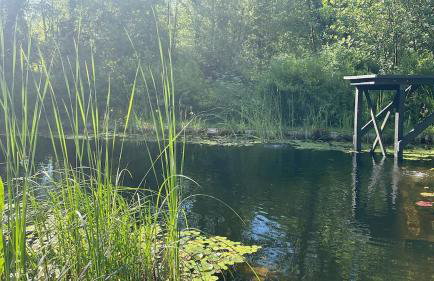 Idyllic country house & organic swim pond - Photo 44