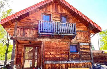 Dwór Sulejów - Photo 38