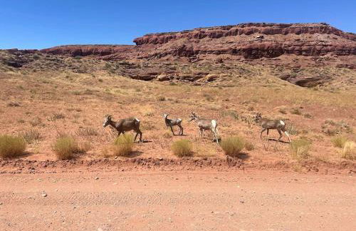 Cozy Cabin At Private Moab Ranch - Foto 7
