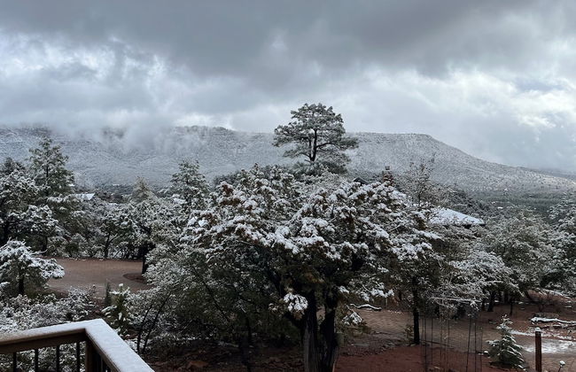 Sundial Circle Pine - Photo 36