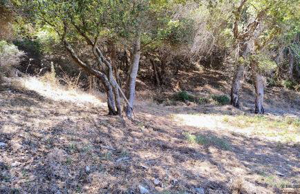 sparton amfilohias παραθαλάσσιο εξοχικό Filoxenia - Foto 66