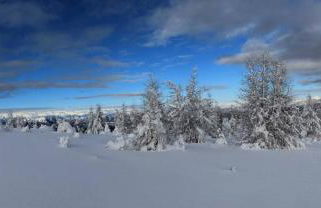 Appartamento EDELWEISS - Foto 31