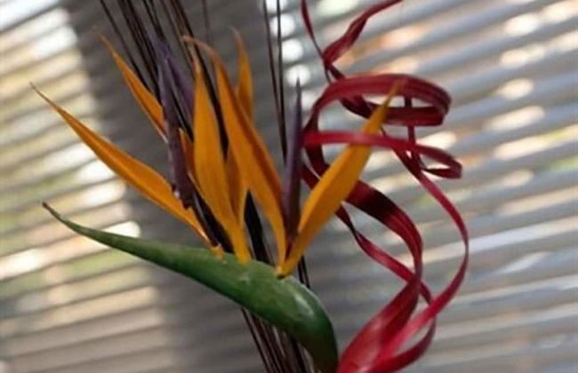 Aberdeen Serviced Apartments - The Lodge - Photo 6