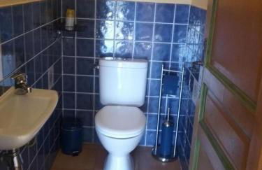 La cigaline - Foto 17