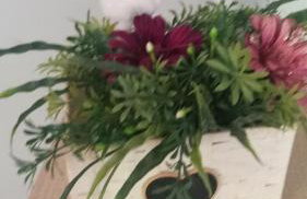 Hospeda Aí - Foto 6