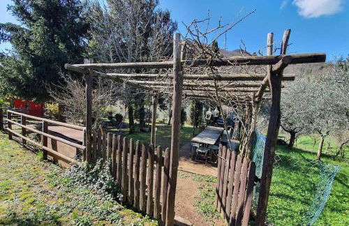 Il Cantuccio Proprietà - Foto 14