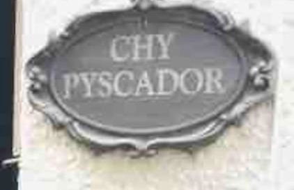 Chy Pyscador - Foto 15
