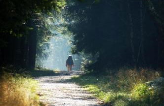 Ferienwohnung in Roetgen am RAVel-Radweg Hike & Bike & Business - Foto 19