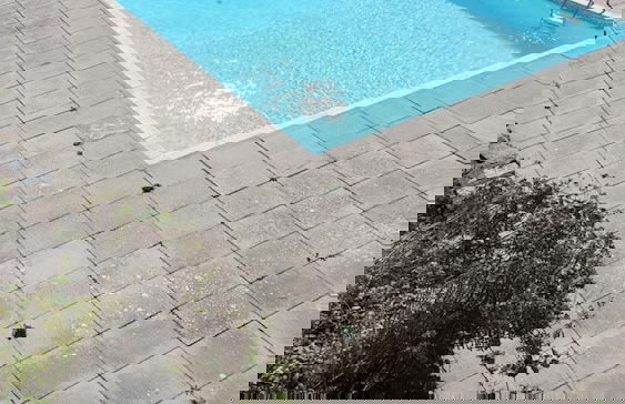 Hendre Coed Isaf - Photo 18