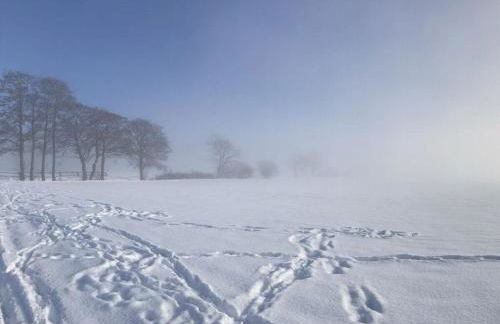 Summit Happiness at the Purple Beech - Foto 53