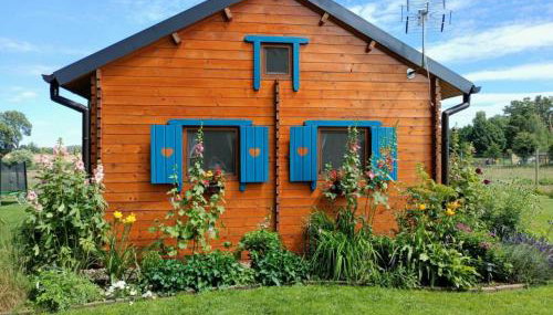 Smocze Ranczo - Foto 5