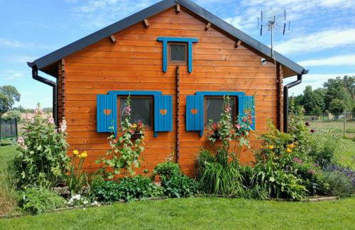 Smocze Ranczo - Foto 5