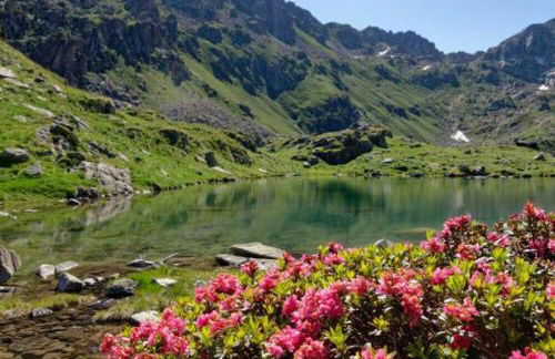 Acogedor Apartamento 2 Habitaciones en Boí - Foto 61