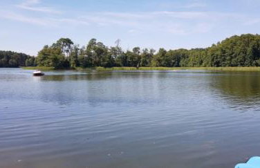 Biały Domek dla 6 osób oraz Domek Sternika dla 4 osób - jezioro, las, wiejski klimat - Foto 56