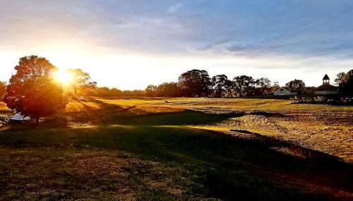 Comfy Farm Stay with Hammock & Fire Pit near Old Hickory Lake – Lebanon, Tennessee - Foto 3