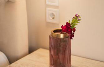 Aeolos Boutique Hotel & Suites - Foto 77