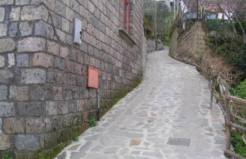 Gli Ulivi Agriturismo - Foto 82