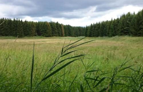 Apartment Gemütliche Ferienwohnung im Grünen am See by Interhome - Foto 18