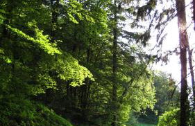 FeWo Marita - Foto 24