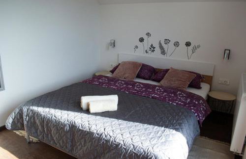 Kraljeva hiža - Apartmani i sobe Kralj - Foto 60