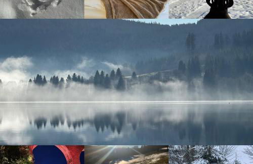 BergOase-Apart am Feldberg - Foto 30