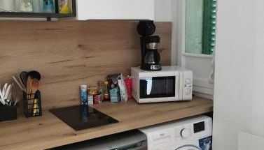 Appartement confort au bord du lac, proche embarcadère - Foto 5