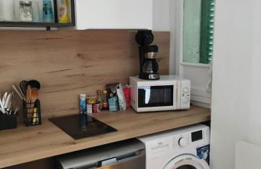 Appartement confort au bord du lac, proche embarcadère - Foto 5