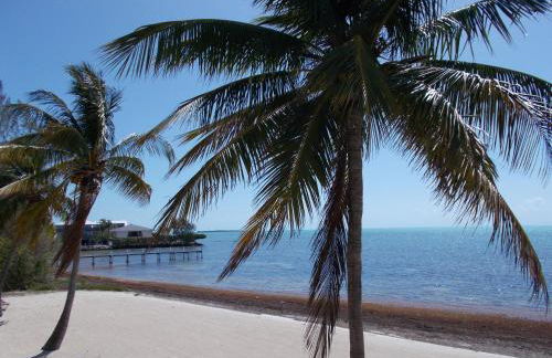 Matecumbe Resort - Foto 40