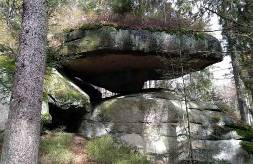 Ferienwohnung Fichtelzauber - Foto 38