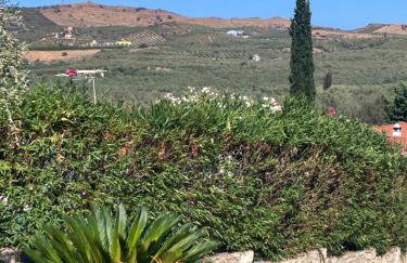 Villa Batsheva Private and Detached - Photo 23