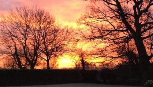 Lemondrop Cottage - Foto 1