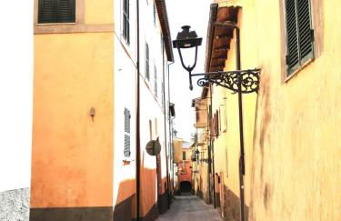 Palazzo Falzacappa - Foto 23