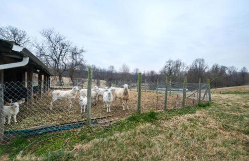 Nature Getaway with On-Site Trails, 17 Mi to DC! - Foto 40