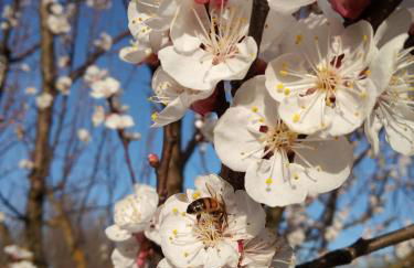 le Mas de la Jardine - Foto 44