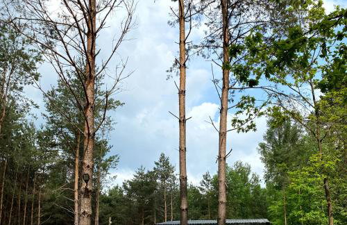 "Las po pas" domki na Roztoczu - Horyniec-Zdrój - Foto 3