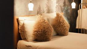 Madame Imagine, Lodges & SPA Epinal - Foto 4