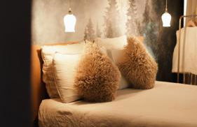 Madame Imagine, Lodges & SPA Epinal - Foto 4